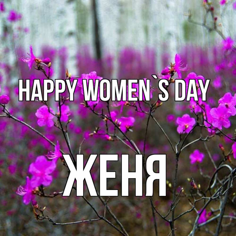 Greetings card с именем, Женя happy women`s day дикие цветы Greetings with text for free download 